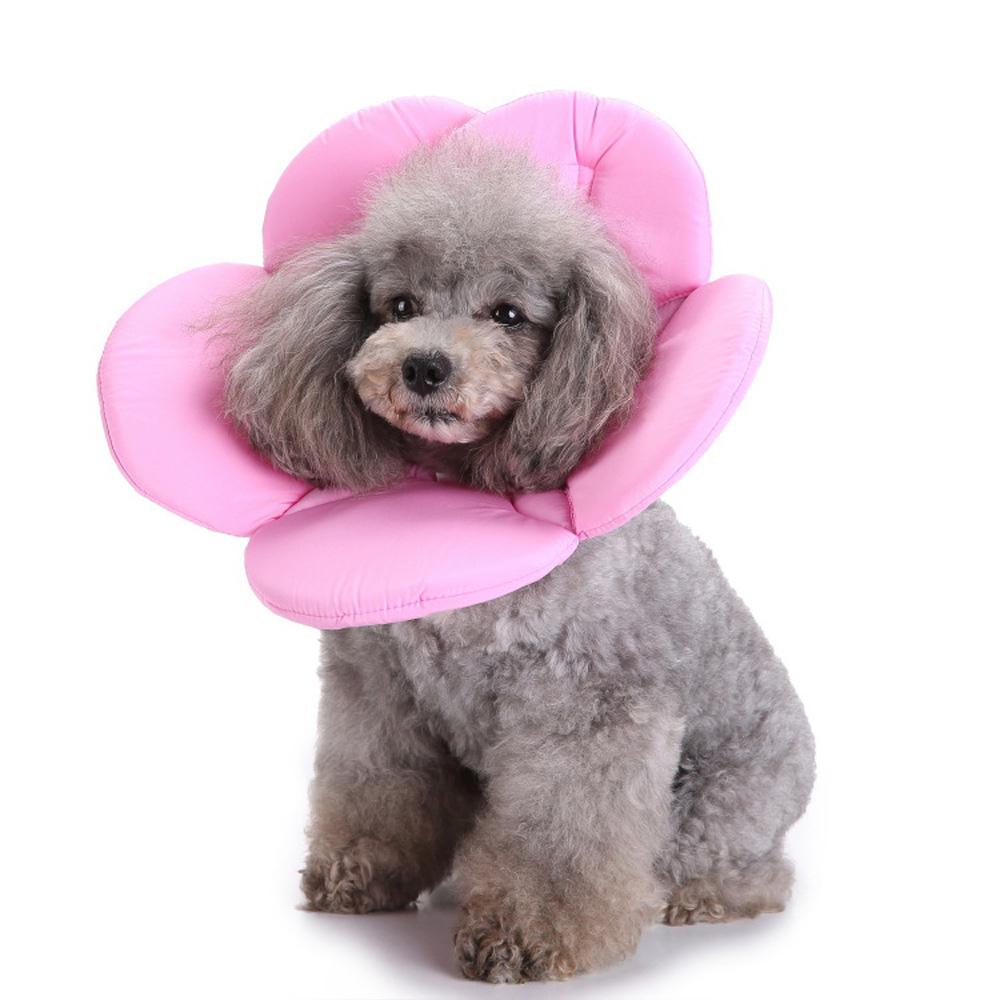 Surgery Wound Healing Elizabethan Collar Protection Cover Neck Cone Recovery Pets Protective Collar