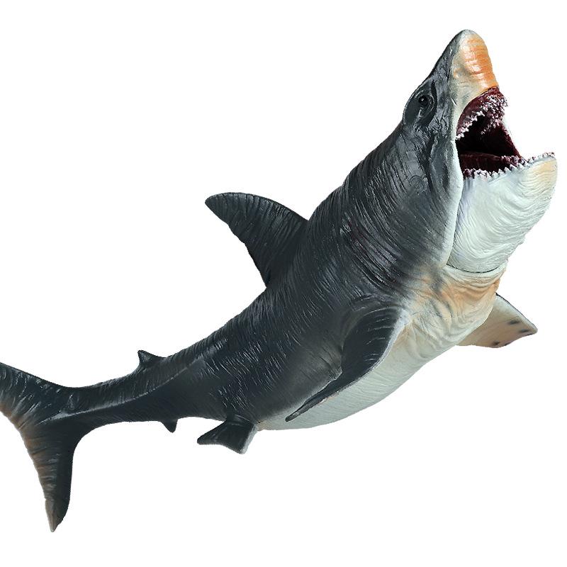 Large Prehistoric Megalodon Shark Toy - Children's Scientific Marine Animal Model