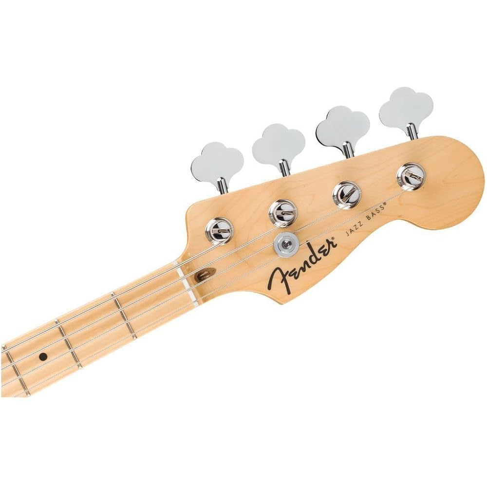 Fender Fender Electric Bass Standard Jazz Bass®, Maple Fingerboard, White Pickguard, Aqua Marine ...