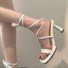 French niche thin fairy style high heels 2025 summer new popular cross-strap thick heel sexy sandals