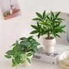 Artificial Bionic Potted Plant for Living Room Table or TV Cabinet