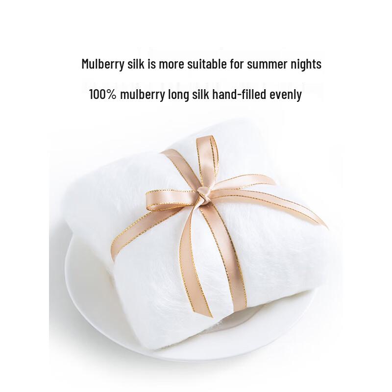 SILKUEEN Zhi Xia All-Season Tencel Blend Silk Quilt