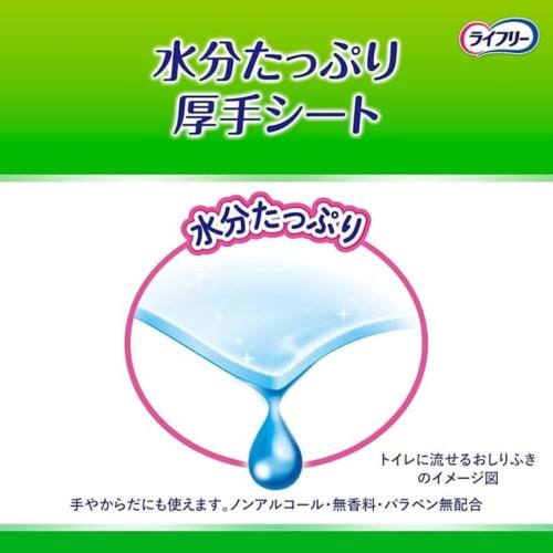 Lifree Adult Wet Wipes, Flushable, 72 Wipes, 4 Packets, Total 288 Wipes