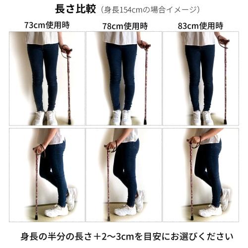 Wellfun Dream Life Walking Stick, Folding and Telescopic Handle, Floral Violet