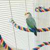 Bird Rope Perch Colorful Flexible Cotton   Swing Climbing Standing Toy for Cockatiels Parakeets