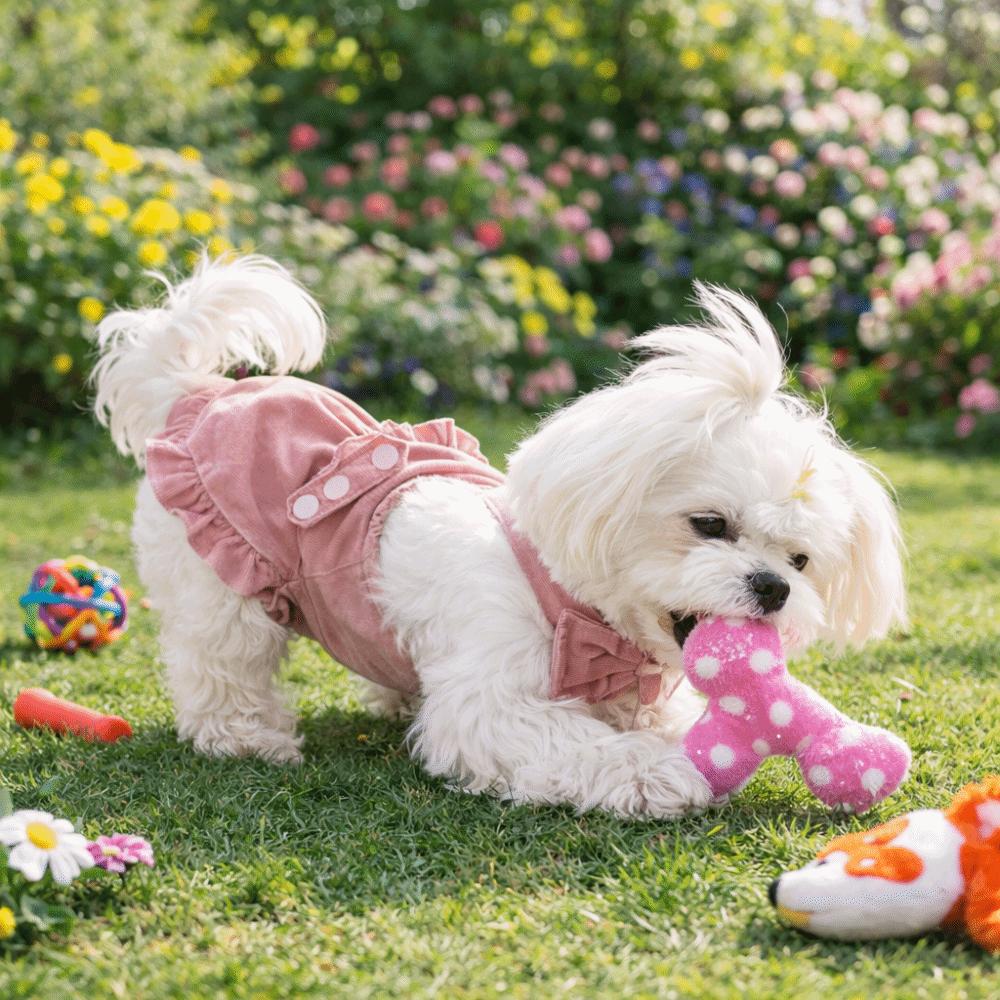 Thin Breathable Dog Sanitary Pants Adjustable Pet Dog Diapers  Female Dog Period