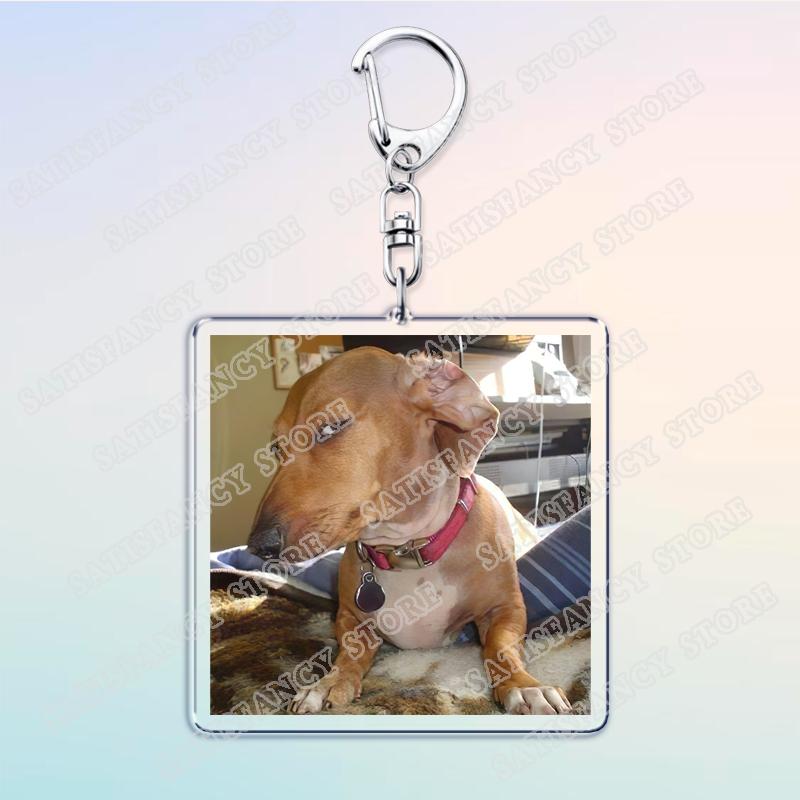 Funny Suspicious Dog Meme Face Keychains for Accessories Bag Fun Side Eye Puppy Dachshund Keyrings Jewelry Fans Friends Gifts