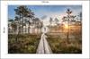 Photomural Wooden Path In The Forest Structural Vinyl 135x90