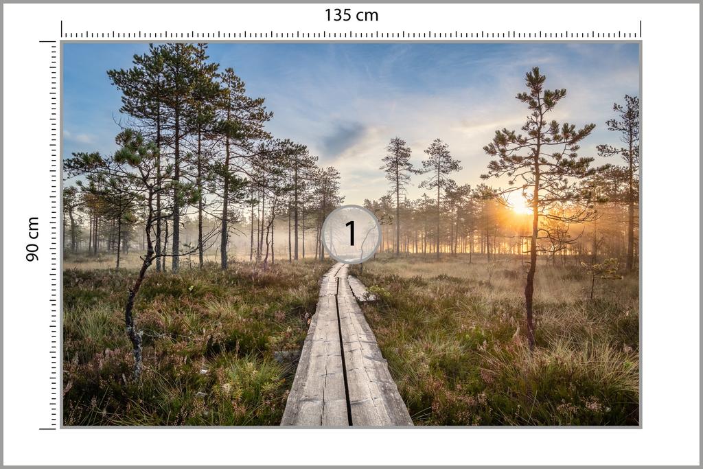 Photomural Wooden Path In The Forest Structural Vinyl 135x90