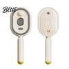 Detangling Hair Brush Electric Steam with Water Spray Reduce Frizz Anti-Static Misting Hairbrush Portable Travel Cordless Fluffy Short