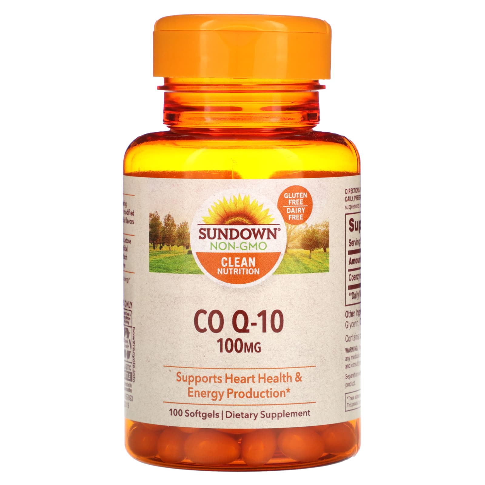 

Sundown Naturals, Coenzyme Q-10, 100 mg, 100 softgels