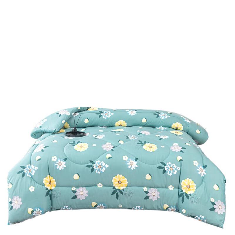 

HMHM All-Season Polyester Fiber Quilt