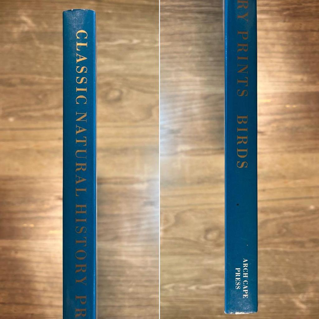 [USED] CLASSIC NATURAL HISTORY PRINTS BIRDS