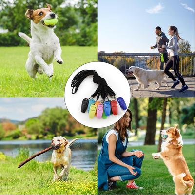 Perros – Manuales de entrenamiento y conducta