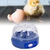 Eierinkubator 6 Eier 15W Blau mit automatischem Wender Eierkerze Display Temperaturregelung Geflügelbrutmaschine