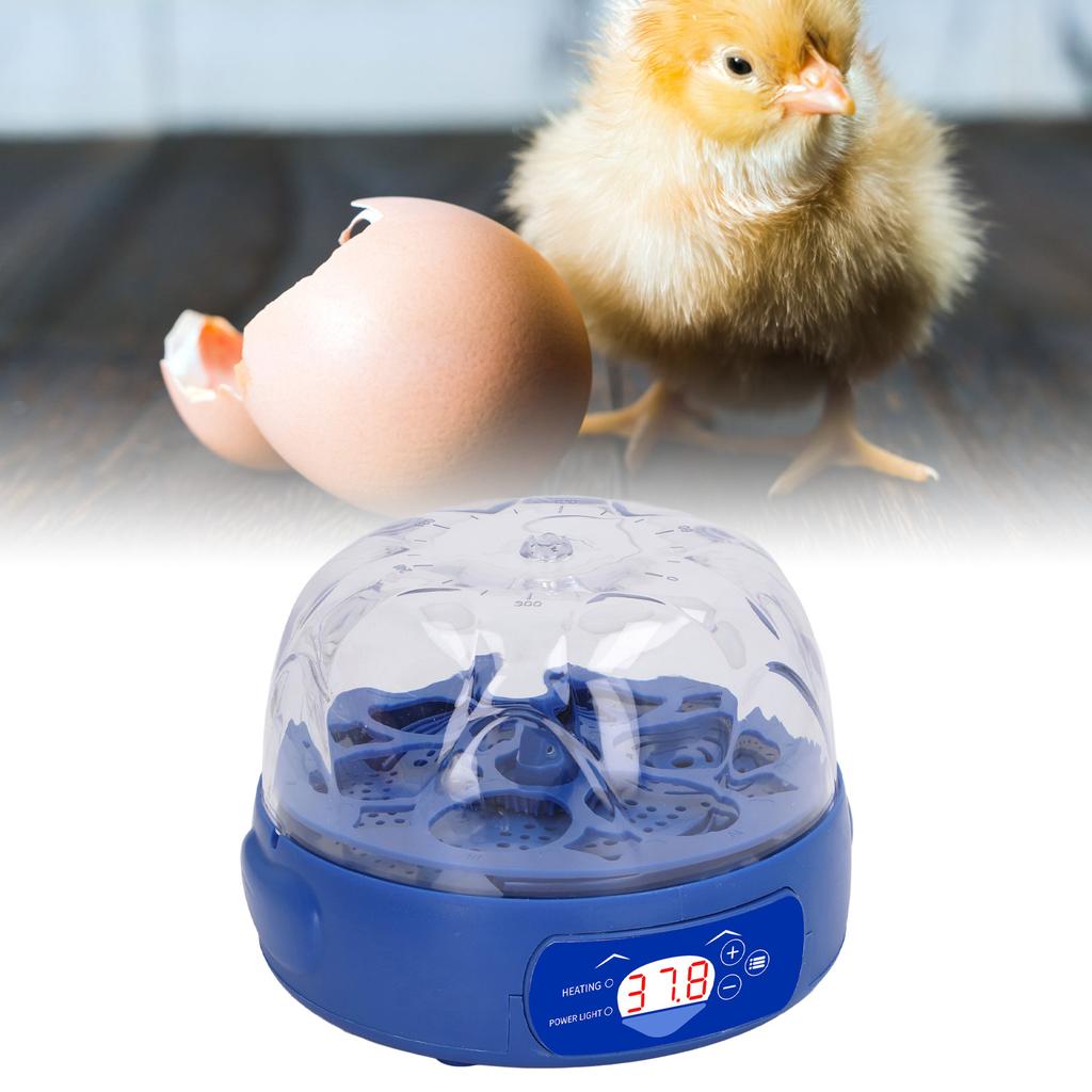 Eierinkubator 6 Eier 15W Blau mit automatischem Wender Eierkerze Display Temperaturregelung Geflügelbrutmaschine