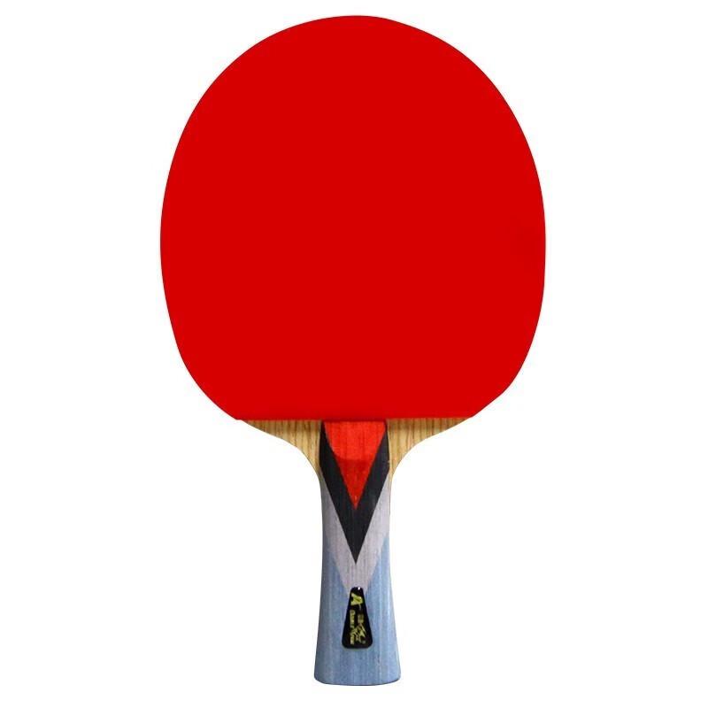 Double Fish 4-Star Table Tennis Racket