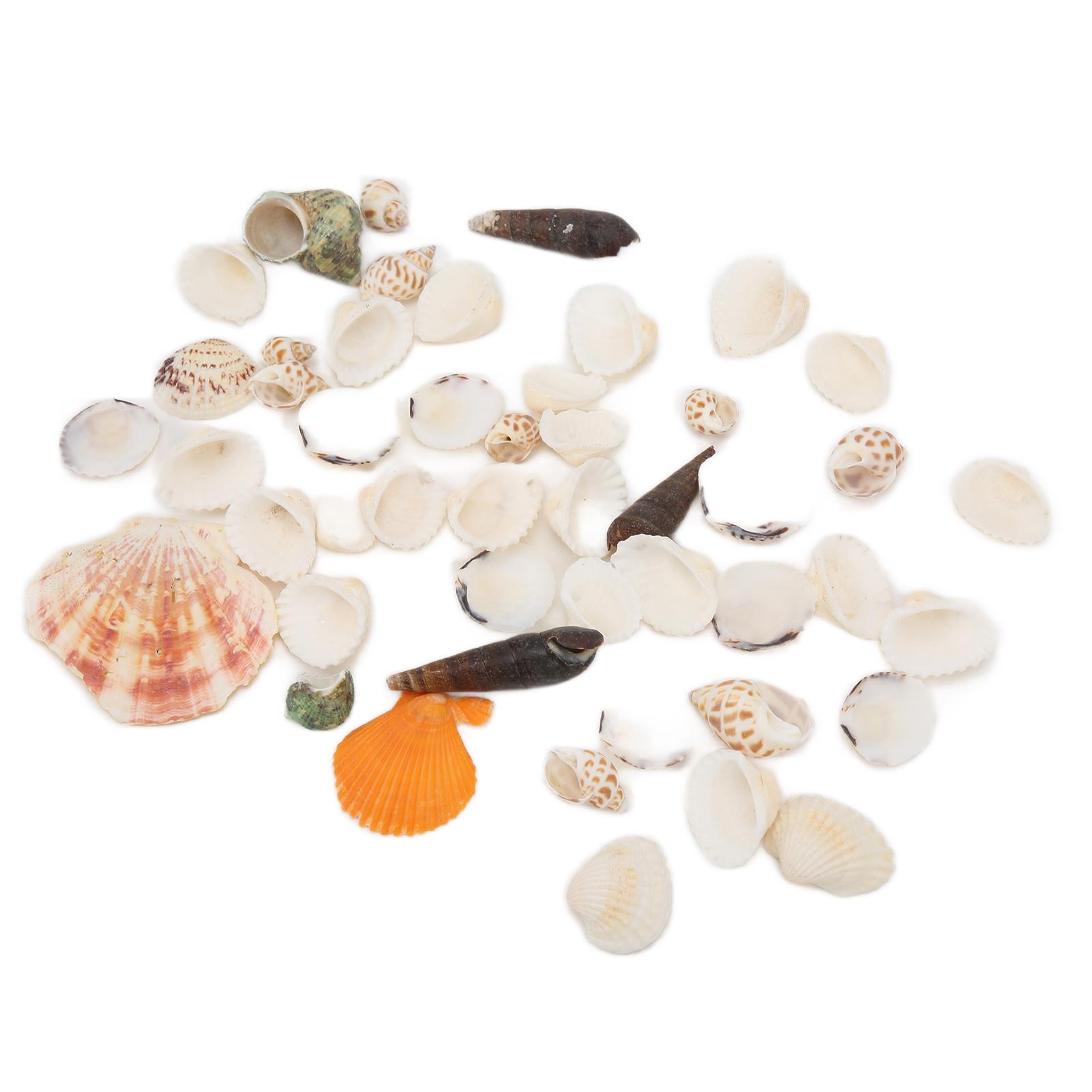 

Tiny Natural Mixed Ocean Sea Shells Fish Tank Decoration and Beach Decoration Crafts Shells