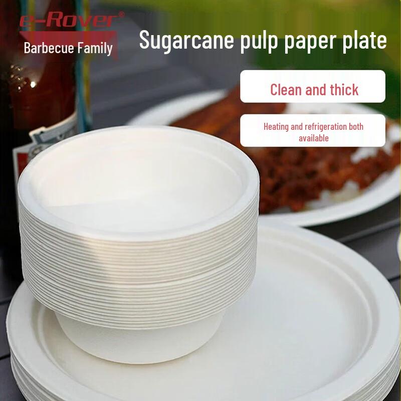 Disposable Biodegradable Picnic Paper Plates & Bowls Set