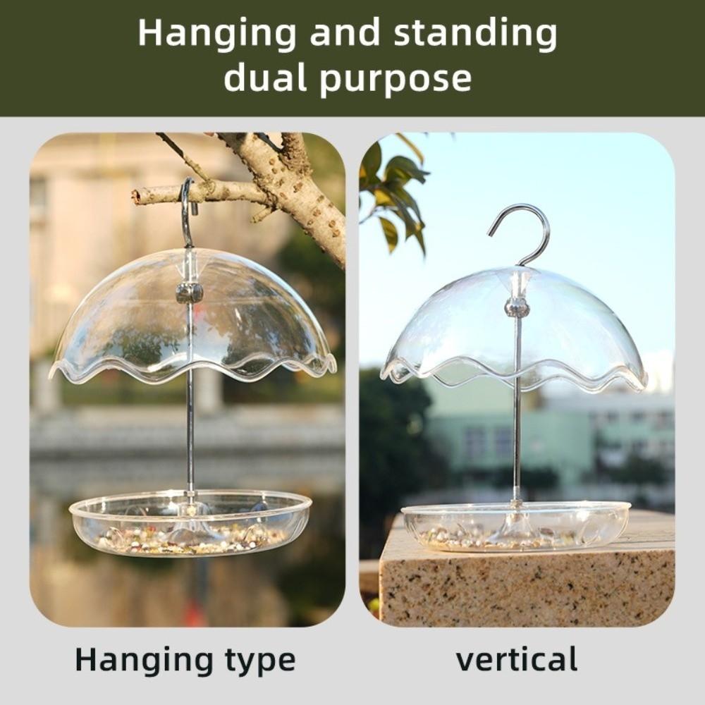 Open Platform Hanging Bird Bath Transparent Hummingbird Feeder Outdoor Garden Decor