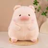 Super cute koi pig doll plush toy little girl cloth doll cute pig doll birthday gift