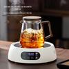 Heat-Resistant Glass Teapot with Infuser