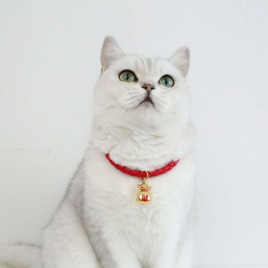 Haustierhalsband Festlich Stilvoll Haustierbedarf Glückstüte Laterne Haustierhalsband für