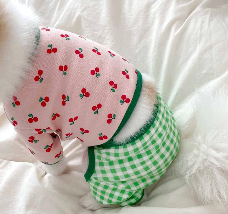 Winter Four-Legged Dog Clothes for Small Breeds: Bichon, Teddy, Pomeranian, Schnauzer