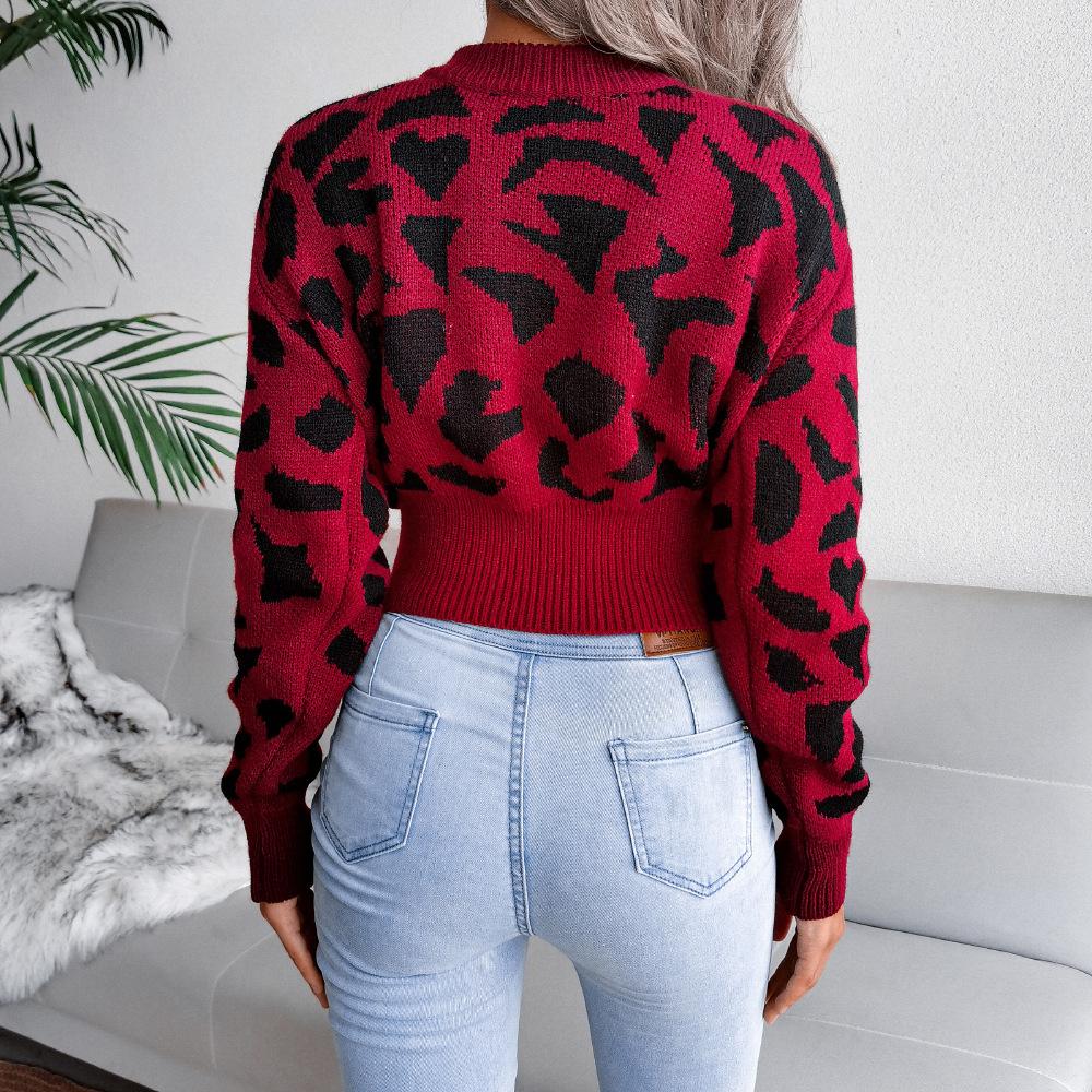 Leopard Print Knitted Crop Sweater Women Autumn Winter Long Sleeve O Neck Nipped Tops Sizes S to L
