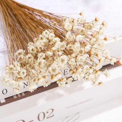 Deko & Wohnaccessoires – Künstliche Blumen & Kränze