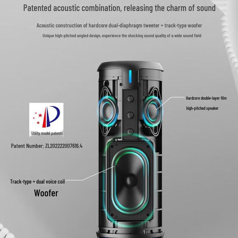 W-King D320 Portable Outdoor Bluetooth Speaker CN plug (adapter included)