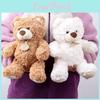 Cute Watermelon Cartoon Brown White Teddy Bear Plush Doll Toy For Children Gift