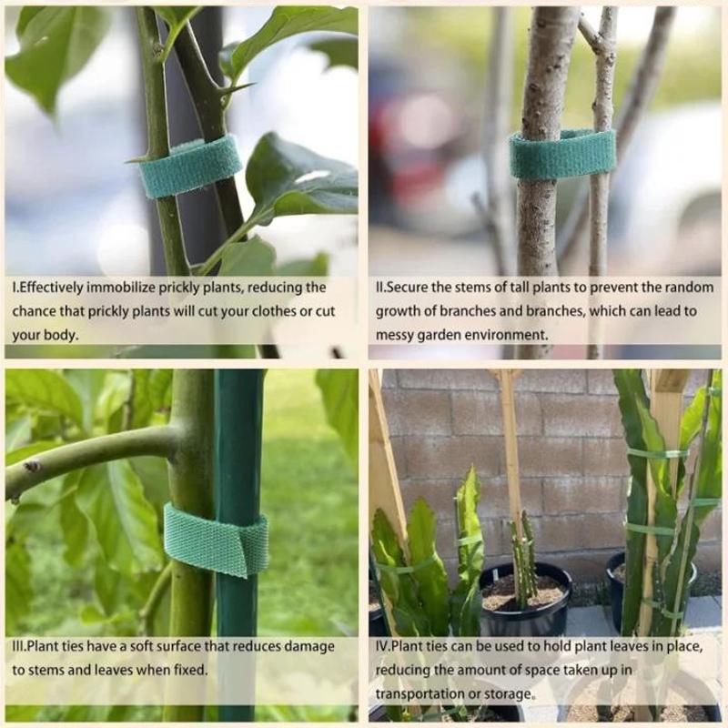 Self Adhesive Nylon Plant Tie Reusable Plant Hook Loop Ties Green Fastener Tape Bamboo Cane Wrap Support Home Garden Accessories
