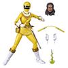 Power Rangers Lightning Collection Zeo Yellow Ranger Action Figure 6-Inch Premium with Accessories Ages 4 and Up