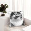 Y2K Funny Cat Meme Pillowcase Soft Fabric Cushion Cover Gift Pillow Case Cover Home Square 45X45Cm