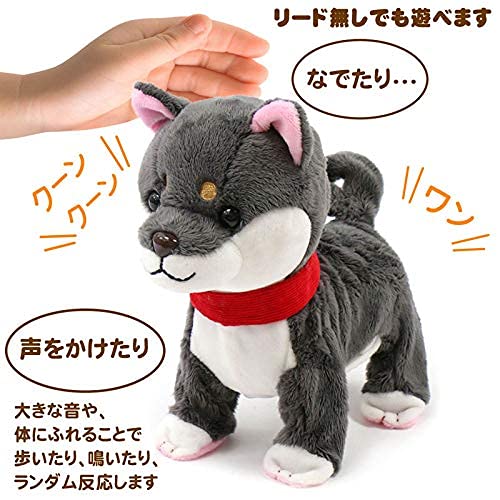 Mother Garden Tocotoco Walking Shiba Inu, Black [Moving Plush Toy, Electronic Pet Dog] 506-21878