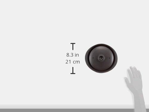 Ishigaki Grill Master Ceramic Round Plate with Lid, 3767, Black