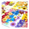 36pcs Dried Flowers Dried Pressed Flowers Leaves Authentic Natural DIY Color Candle Decoration Resin Jewelry Pendant Handicrafts Art Nail Phone Case