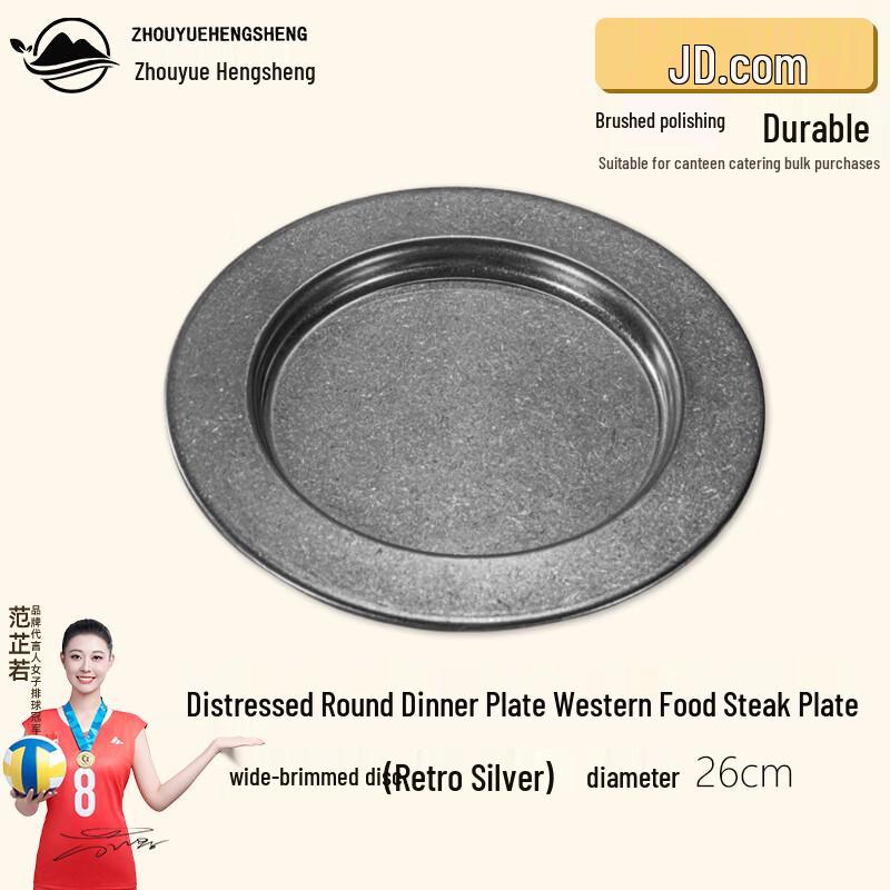 Vintage Round Stainless Steel Dinner Plate