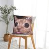 Katzen-Memes Lustiger Meme-Druck Kissenbezug Weicher Kissenbezug für Sofa Auto Heimdekoration Modischer Kissenbezug