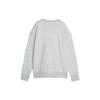 Puma Letter Print Crew Neck Pullover Knit Sweatshirt Women Sweatshirt Light-Heather-Gray 623482-04