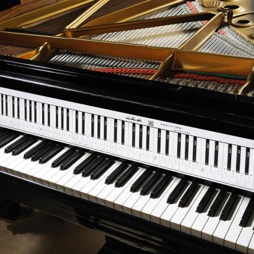 TENDYCOCO Piano Practice Sheets, Notebook, Keyboard Paper, 88-Key Piano Learning Labels, Foldable, Beginner's Keyboard Aid, Do-Re-Mi Stickers, Music S