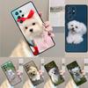 Malteser Hundewelpen Silikon Handyhülle Für Samsung Galaxy note 10 pro S26 S25 S24 S23 S22 S21 Plus S25Ultra Capa Cover