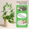 A Top Quality U-shaped Acrylic Plant Climbing Frame, Transparent and Durable, Suitable for Indoor Vine and Flower Pot Support