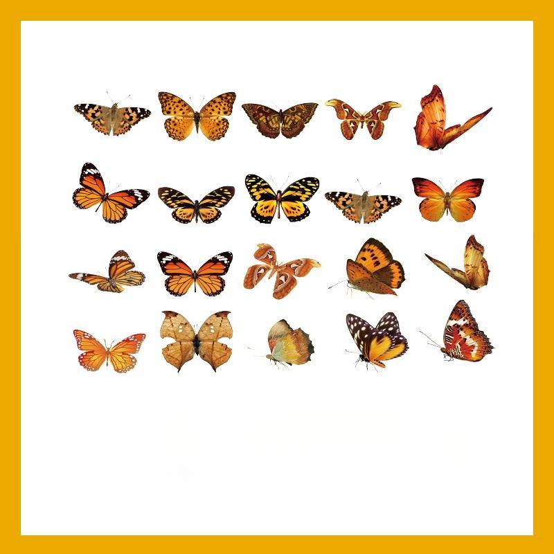 1SET/40PCS PET butterfly sticker DIY hand tent Goo card decorative material children's cartoon water cup sticker hand tent landscaping sticker