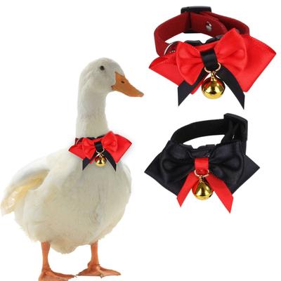 Haustier Fliege Haustier Krawatte Haustier Smoking Haustier Huhn Fliege