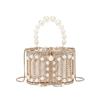 Diamond Pearl Birdcage Handbag: 2025 Fashionable Women's Shoulder Crossbody Bag
