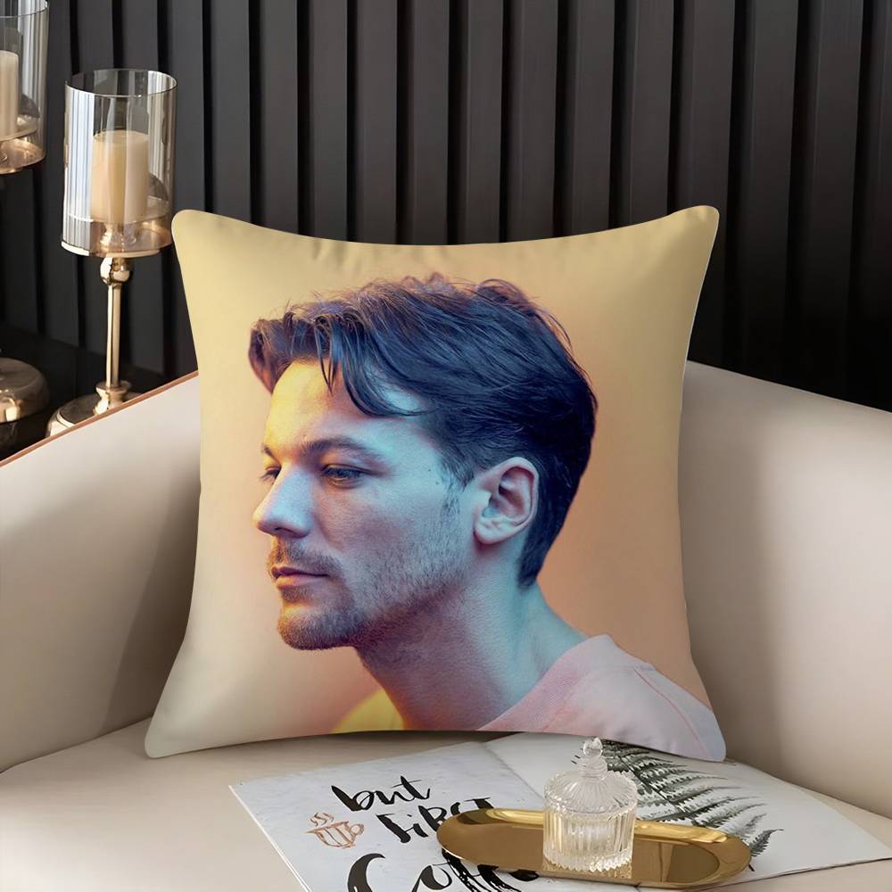 Louis Singer Tomlinsons Pillow Case Home Dorm Chair Back Short Plush Double-sided Printing Office Nap Time Cushion Cover