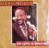 7inch Record MARVIN GAYE  My Love Is Waiting A3048 CBS 1982 UK SoulFunk Used
