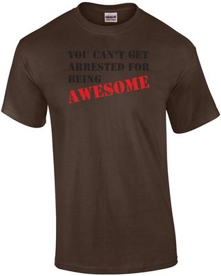 Man kann nicht verhaftet werden, weil man großartig ist T-Shirt